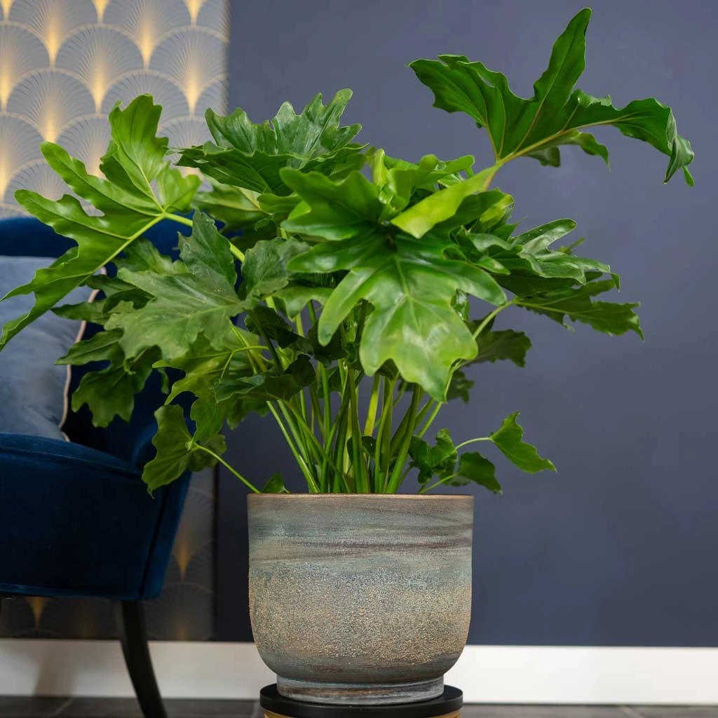 Aico Plant Pot - Shiny Blue 2 Aico Plant Pot - Shiny Blue - Image 2