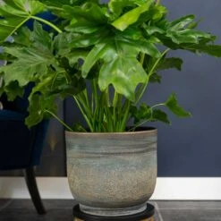 Aico Plant Pot - Shiny Blue 20 Aico Plant Pot - Shiny Blue -Garden Potted Plant Shop Aico shiny blue 02