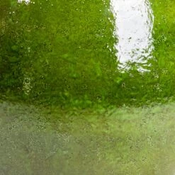 Aimee Plant Pot - Pear -Garden Potted Plant Shop Aimee Plant Pot Pear SWATCH2