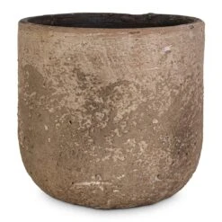 Albero Plant Pot - Cement -Garden Potted Plant Shop Albero Plant Pot Cement 16x14cm c1509482 b7a3 4670 8e6e 570ba6012564