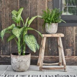 Albero Plant Pot - Cement -Garden Potted Plant Shop Albero Plant Pot Cement 28 x 26cm