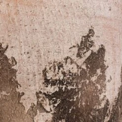 Albero Plant Pot - Cement -Garden Potted Plant Shop Albero Plant Pot Cement DETAIL