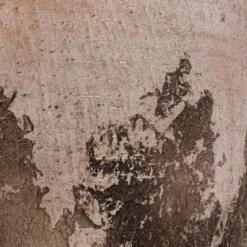 Albero Plant Pot - Cement -Garden Potted Plant Shop Albero Plant Pot Cement DETAIL d465160c 8621 4f6c 825c 263e6430a47d