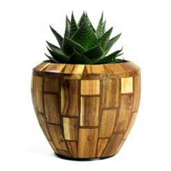Facets Couple Planter - Jenga 13 Facets Couple Planter - Jenga -Garden Potted Plant Shop Aloe aristata Cosmo Facets Couple Planter Jenga