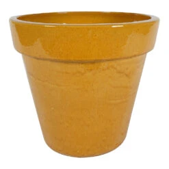 Ashley Planter - Honey