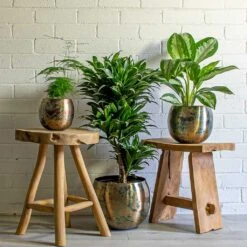 Kian Metal Plant Pots - Set Of 3 - Large - Sky Burn -Garden Potted Plant Shop Asparagus setaceus Lace Fern Dracaena fragrans Compacta Branched Aglaonema Diamond Bay Chinese Evergreen Kian Metal Plant Pots Set of 3 large Sky Burn