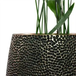 Opus Hit Darcy Planter - Gold -Garden Potted Plant Shop Aspidistra Cast Iron Plant Opus Hit Darcy Planter Gold Close Up