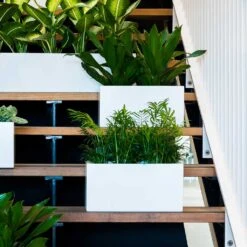 Balcony Planter - Matt White -Garden Potted Plant Shop Balcony Planter Matt White Houseplants