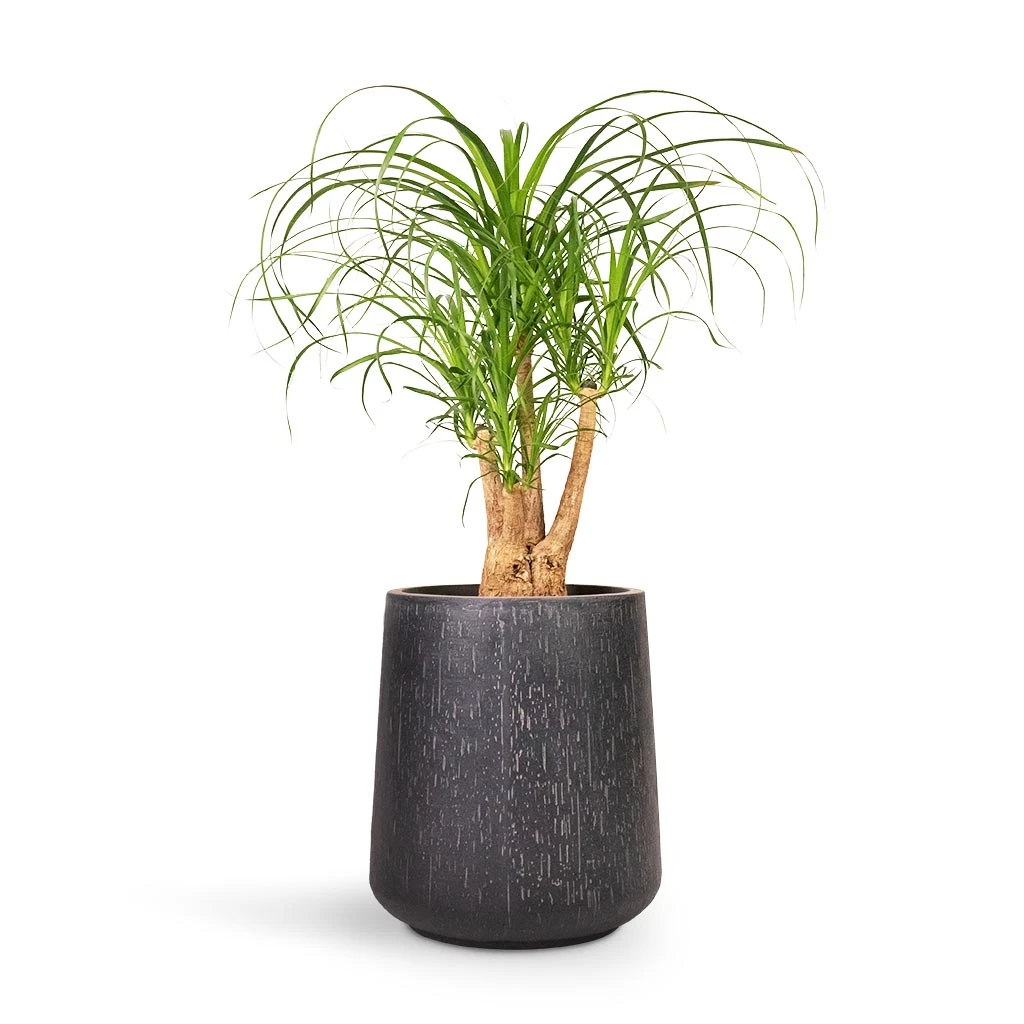 Raindrop Tube High Round Planter - Anthracite 2 Raindrop Tube High Round Planter - Anthracite - Image 2