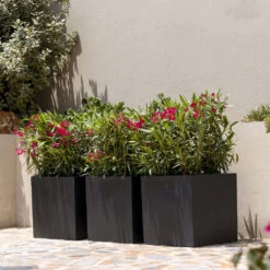 Block Natural Planter - Black -Garden Potted Plant Shop BlockNaturalPlanter Black 2