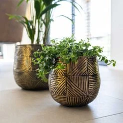 Calvin Metal Plant Pots - Set Of 3 - Matt Gold -Garden Potted Plant Shop Calvin Metal Plant Pots Set of 3 Matt Gold 2