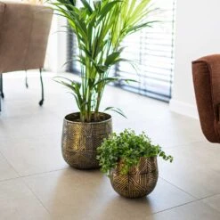 Calvin Metal Plant Pots - Set Of 3 - Matt Gold -Garden Potted Plant Shop Calvin Metal Plant Pots Set of 3 Matt Gold 3