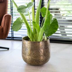 Calvin Metal Plant Pots - Set Of 3 - Matt Gold -Garden Potted Plant Shop Calvin Metal Plant Pots Set of 3 Matt Gold 4