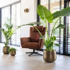 Calvin Metal Plant Pots - Set Of 3 - Matt Gold -Garden Potted Plant Shop Calvin Metal Plant Pots Set of 3 Matt Gold 6