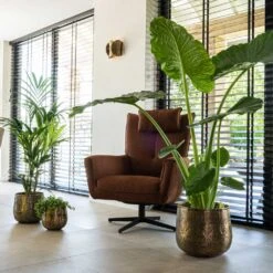 Calvin Metal Plant Pots - Set Of 3 - Matt Gold -Garden Potted Plant Shop Calvin Metal Plant Pots Set of 3 Matt Gold 7