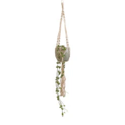 Ceropegia Woodii - String Of Hearts 26 Ceropegia Woodii - String Of Hearts -Garden Potted Plant Shop Ceropegia woodii String of Hearts 10x20cm Macrame Hanging Plant Pot 12x10cm 2