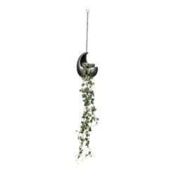 Gradient Hanging Cocoon - Matt Grey -Garden Potted Plant Shop Ceropegia woodii String of Hearts 14x30cm Gradient Hanging Cocoon Matt Grey 20x24cm 03e38a11 3501 47b7 9e74 1b9b36316eba