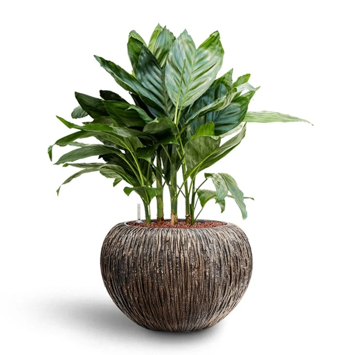 Luxe Lite Waterfall Globe Planter - Bronze 9 Luxe Lite Waterfall Globe Planter - Bronze - Image 9