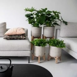 Charlie Plant Pot - Low Stand - Grey Washed -Garden Potted Plant Shop Charlie Plant Pot Tall Stand Grey Washed Lifestyle 02 9225be9f 92ff 40ce 8bec 1627a363928b