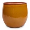 Charlotte Plant Pot - Spiced Ochre