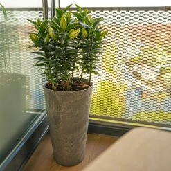 Claire Artstone Tall Planter - Grey -Garden Potted Plant Shop Claire Artstone Tall Planter Grey 4