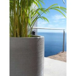 Cody Plant Vase - Ridged Dark Grey -Garden Potted Plant Shop Cody Tall Planter Ridged Dark Grey Areca Palm