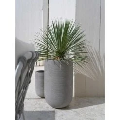 Cody Plant Vase - Ridged Dark Grey -Garden Potted Plant Shop Cody Tall Planter Ridged Dark Outdoor Palm