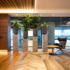 Cody Plant Vase - Ridged Dark Grey -Garden Potted Plant Shop CodyPlantVase RidgedDarkGrey 9