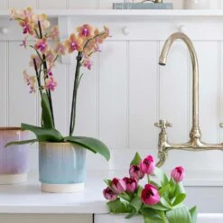 Copenhagen Plant Pot - Aqua 14 Copenhagen Plant Pot - Aqua -Garden Potted Plant Shop Copenhagen Plant Pot Aqua 15.5 x 16cm