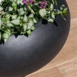 Cora Natural Bowl Planter - Black -Garden Potted Plant Shop CoraNaturalBowlPlanter Black 4