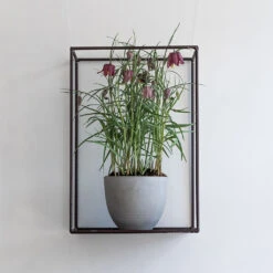 Coral Refined Planter - Clouded Grey -Garden Potted Plant Shop Coral Refined Planter Clouded Grey Lifestyle