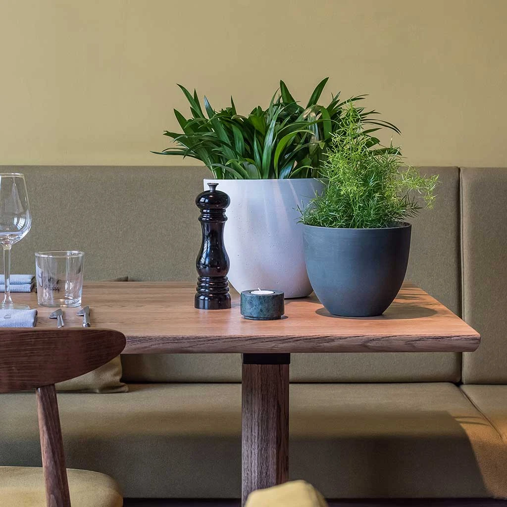 Coral Refined Planter - Natural White 7 Coral Refined Planter - Natural White - Image 7