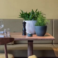 Coral Refined Planter - Pine Green -Garden Potted Plant Shop Coral Refined Planter Pine Green Natural White Houseplants 08543535 5541 428b 8ac7 bb7a385db61c