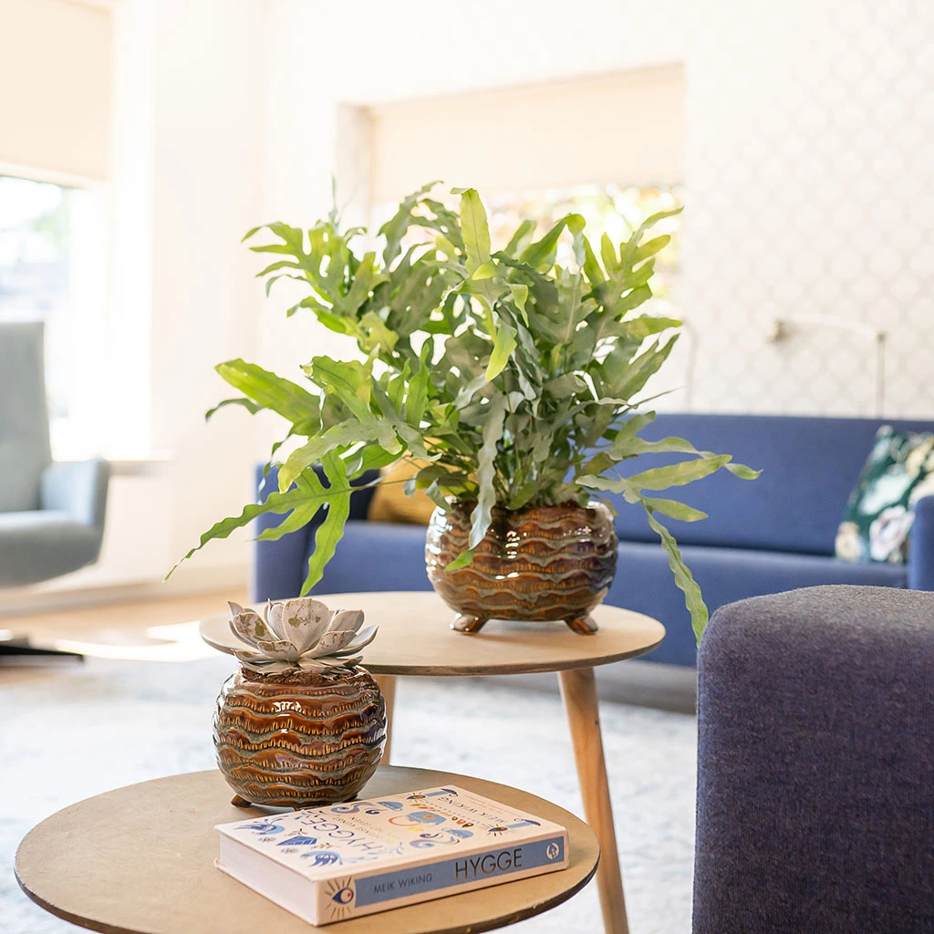 Dewi Plant Pot - Marrakesh 7 Dewi Plant Pot - Marrakesh - Image 7