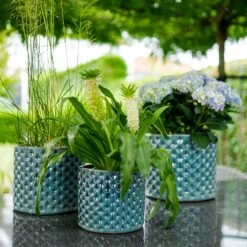 Dion Planters - Set Of 3 - Ocean Blue -Garden Potted Plant Shop Dion Planters Set3 Ocean Blue Outdoor Plants