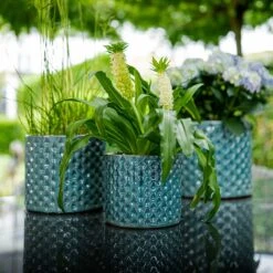 Dion Planters - Set Of 3 - Ocean Blue -Garden Potted Plant Shop Dion Planters Set3 Ocean Blue Plants
