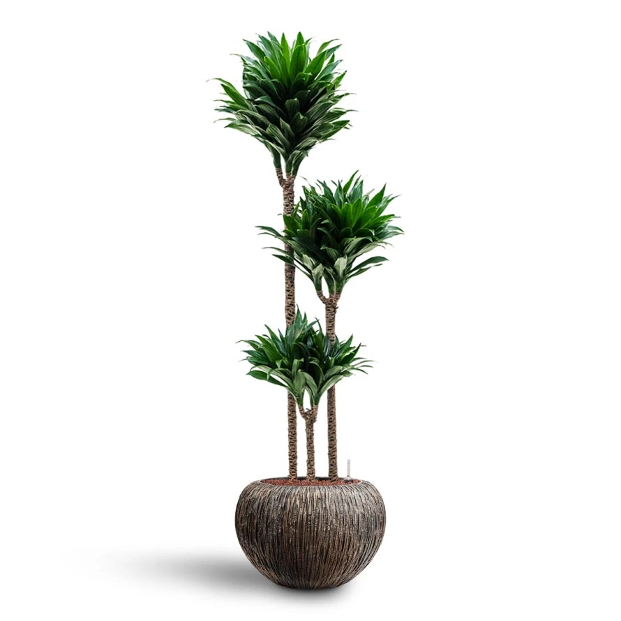 Luxe Lite Waterfall Globe Planter - Bronze 5 Luxe Lite Waterfall Globe Planter - Bronze - Image 5