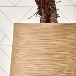 Dune Partner Planter - Almond -Garden Potted Plant Shop Dune Partner Planter Almond Close Up 1