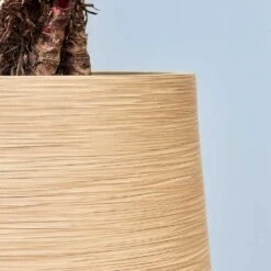 Dune Partner Planter - Almond -Garden Potted Plant Shop Dune Partner Planter Almond Close Up 2 jpg