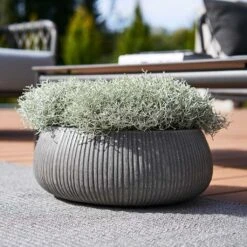 Eileen Plant Bowl - Ridged Dark Grey -Garden Potted Plant Shop Eileen Planter Ridged Dark Grey Outdoor