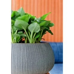 Eileen Plant Bowl - Ridged Dark Grey -Garden Potted Plant Shop Eileen Planter Ridged Dark Grey Texture