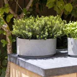Eli Plant Bowl - Grey Washed -Garden Potted Plant Shop Eli Plant Bowl Grey Washed Rosemary