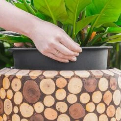 Facets Couple Planter - Ageless -Garden Potted Plant Shop Facets Couple Planter Ageless 1