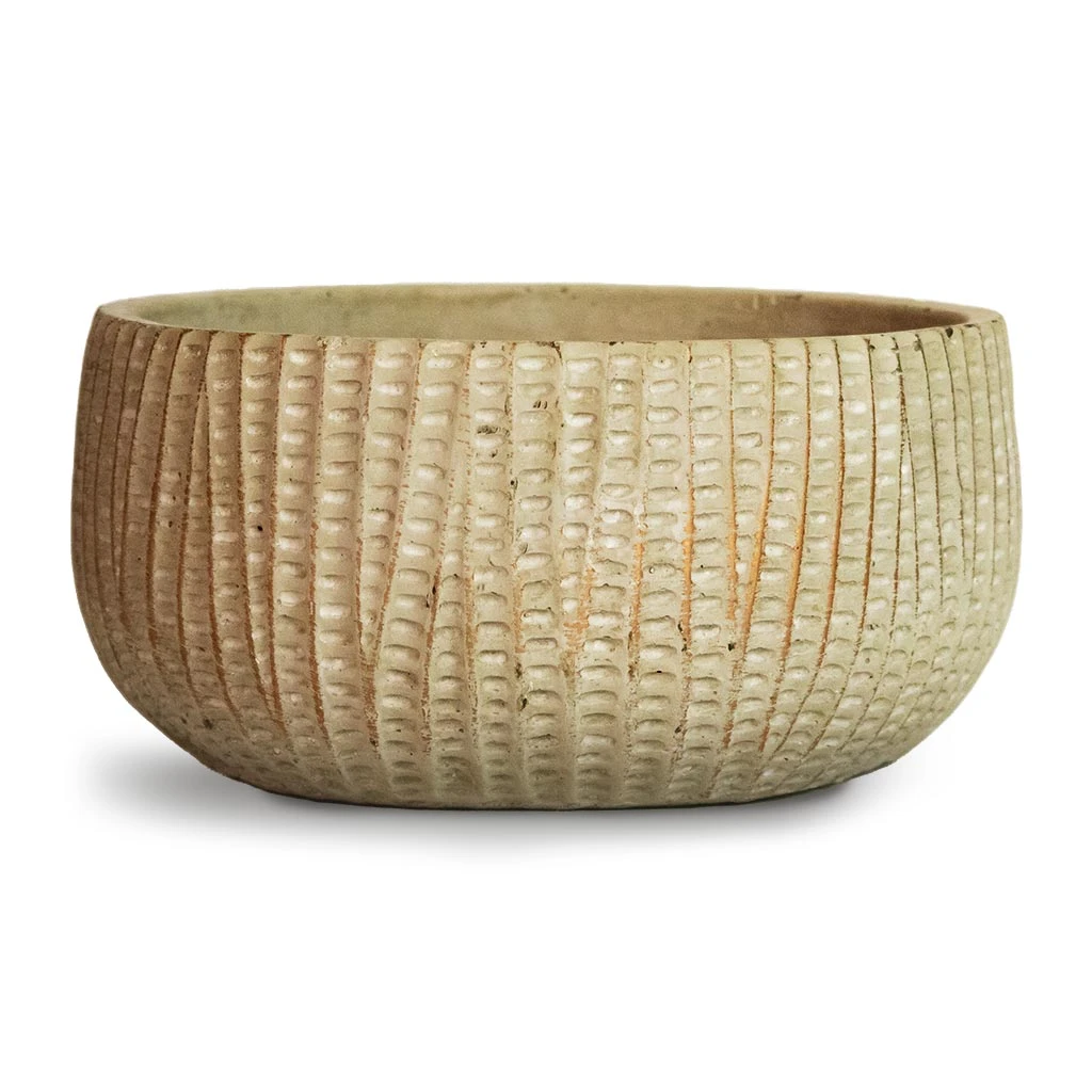 Feico Plant Bowl - Mint Grey 1 Feico Plant Bowl - Mint Grey