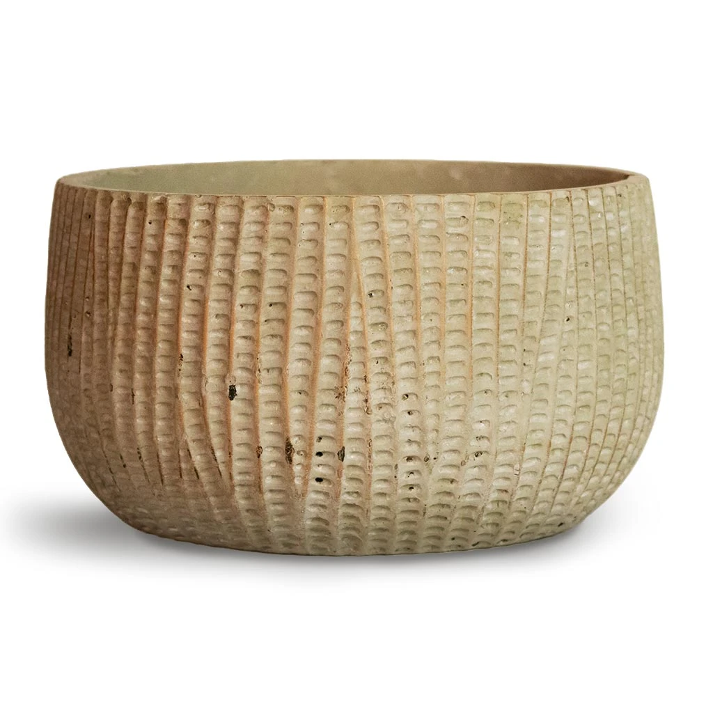 Feico Plant Bowl - Mint Grey 2 Feico Plant Bowl - Mint Grey - Image 2