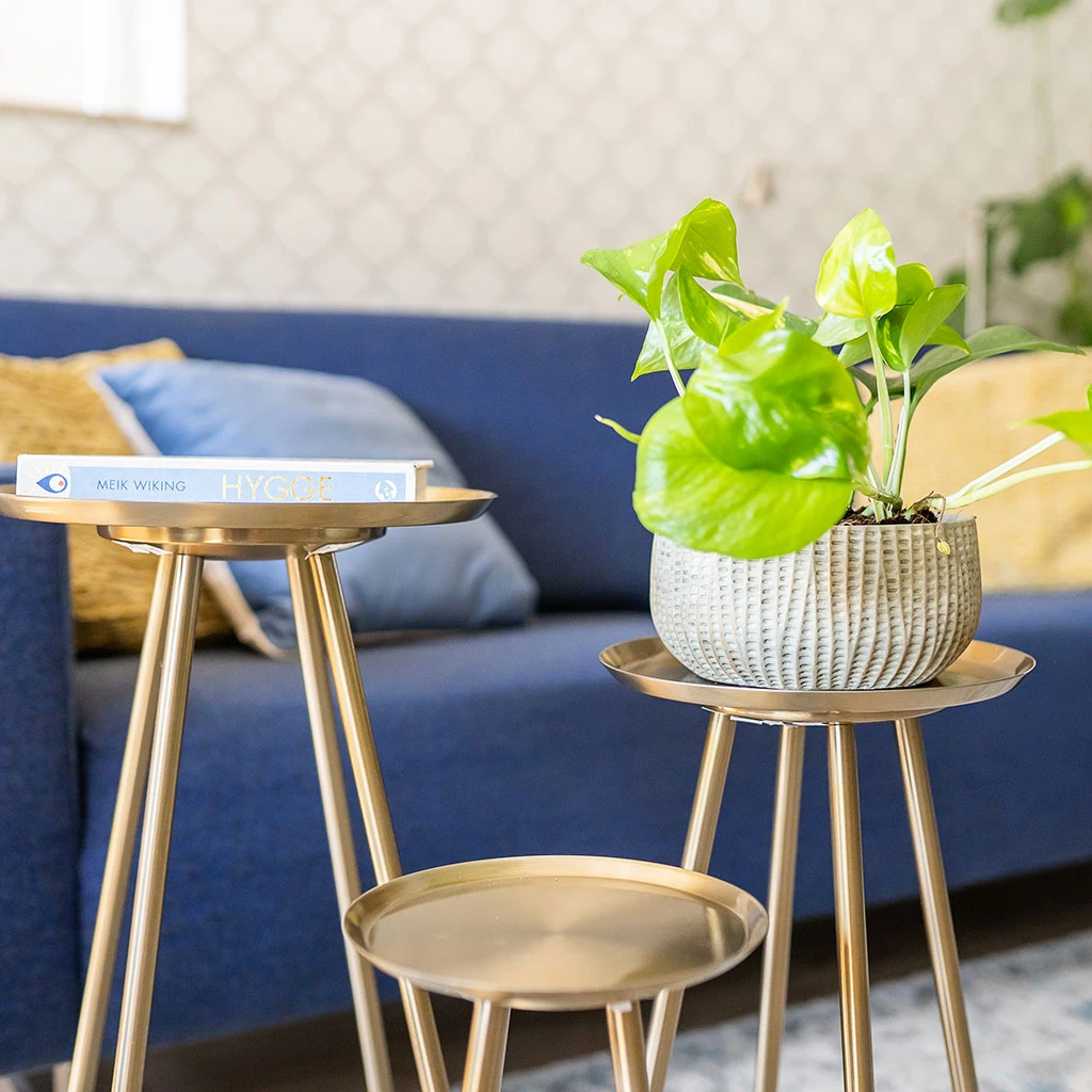 Feico Plant Bowl - Mint Grey 3 Feico Plant Bowl - Mint Grey - Image 3