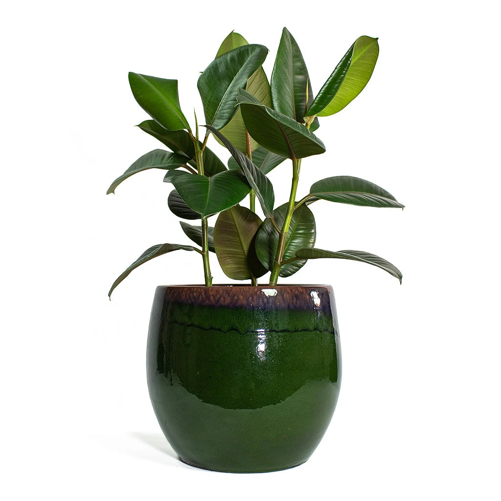 Charlotte Plant Pot - Green 14 Charlotte Plant Pot - Green - Image 14