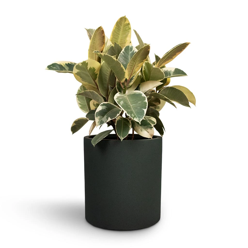 Puk Refined Planter - Pine Green 6 Puk Refined Planter - Pine Green - Image 6