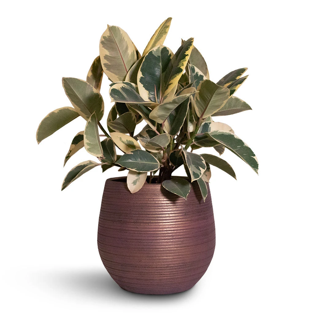 Lydia Plant Pot - Shiny Purple 2 Lydia Plant Pot - Shiny Purple - Image 2