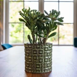 Fiene Plant Pot - Green -Garden Potted Plant Shop Fiene Green 1